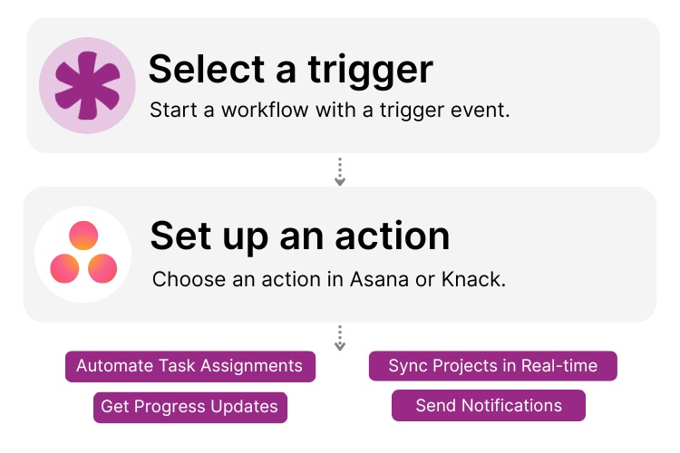 Knack and Asana Integration